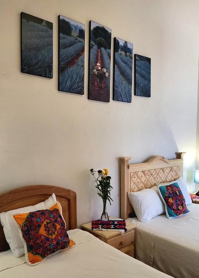 Casa Los Arquitos B&B Oaxaca Bagian luar foto